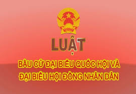 VIUP tổ chức tuyên truyền, phổ biến Luật Bầu của đại biểu Quốc hội và đại biểu Hội đồng nhân dân 