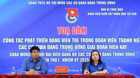 Phát triển đảng viên trẻ theo hướng thường xuyên, bài bản và lâu dài