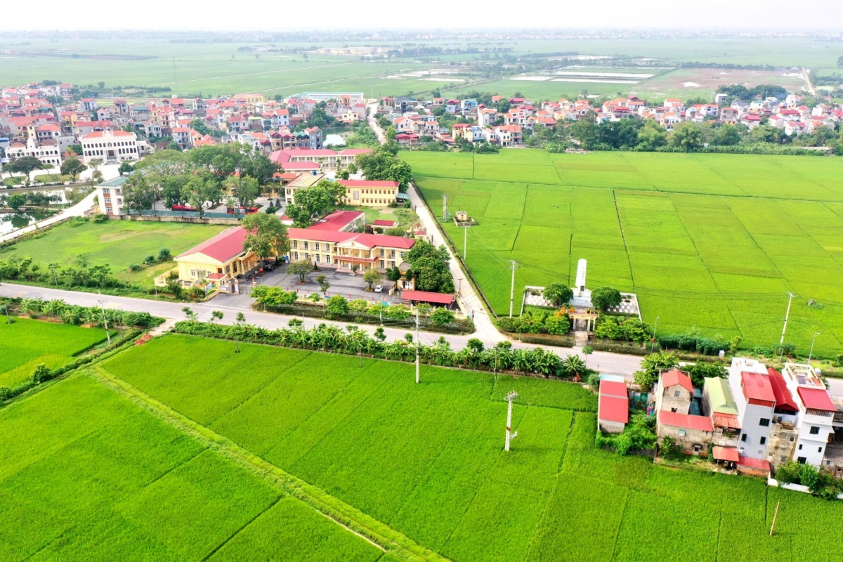 Bê tông hóa và những tác động đến cảnh quan môi trường Nông thôn